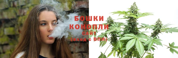 ГАЛЛЮЦИНОГЕННЫЕ ГРИБЫ Пересвет