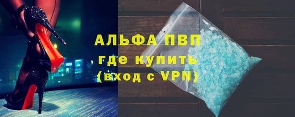 хмурый Осинники
