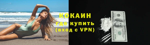 индика Соль-Илецк