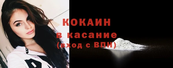 ГАЛЛЮЦИНОГЕННЫЕ ГРИБЫ Пересвет