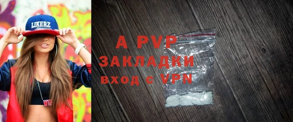 хмурый Осинники