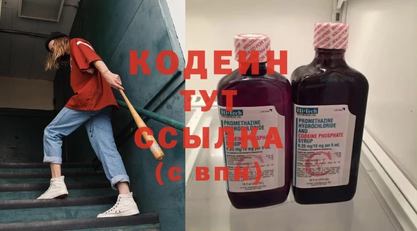 хмурый Осинники