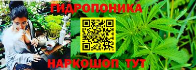 мдма Можга