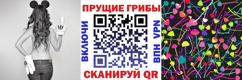 Галлюциногенные грибы Cubensis  даркнет сайт  Сертолово 