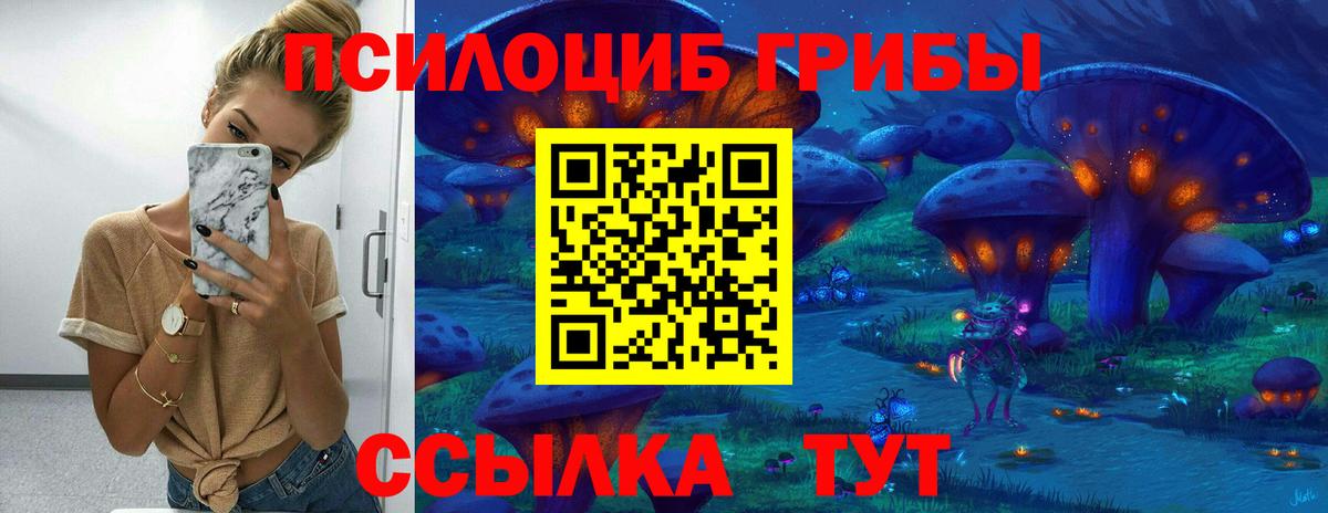 Псилоцибиновые грибы прущие грибы  Псилоцибиновые грибы Magic Shrooms  Сертолово  Вход с VPN 