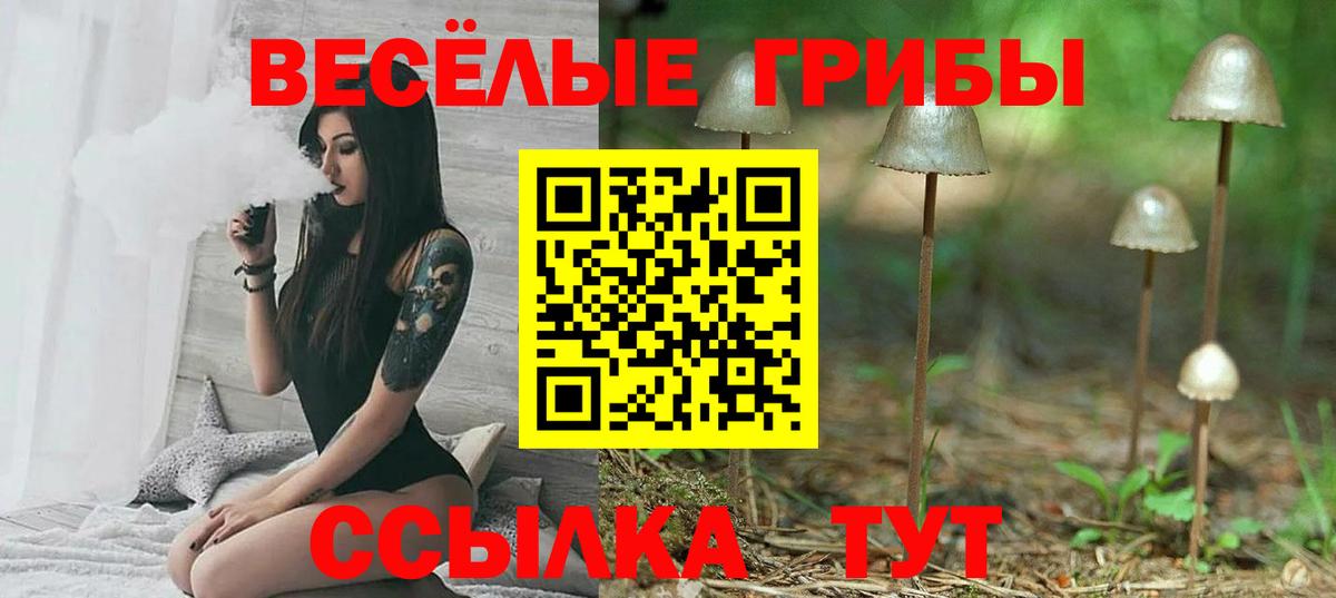 Галлюциногенные грибы GOLDEN TEACHER Сертолово